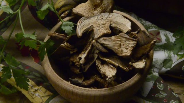 Boletus edulis Ljetni vrganj Borowik szlachetny Stensopp Белый гриб &Iacute;zletes varg&aacute;nya Hongo blanco Gewoon eekhoorntjesbrood Gemeiner Steinpilz Fungo porcino Cep