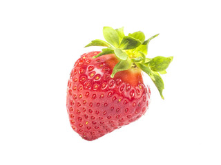 fresh whole individual strawberries