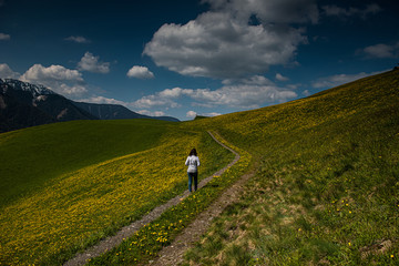 Fototapeta premium Woman is walking in a field of dandelions at Dolomites