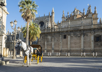 Naklejka premium Coche de caballos - Sevilla