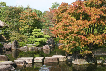 autumn foliage in kokoen gardens in himeji city, japan