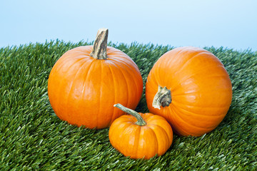 close-up of halloween pumpkins.