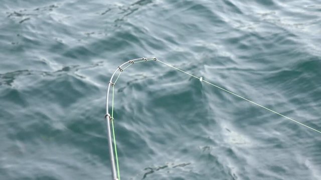 4K 海釣り 根魚のアタリが釣り竿に