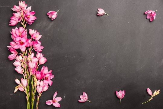 Fototapeta Fresh pink flowers
