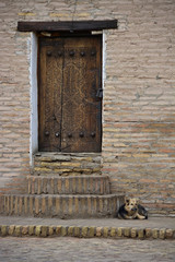 Dog guarding building with old artisanal wooden door, Khiva, Uzbekistan