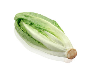 Romaine Lettuce isolated on white,clipping path.