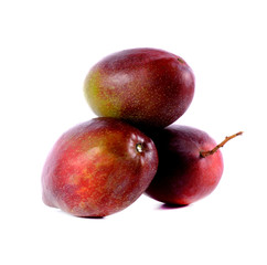 mangoes on white background