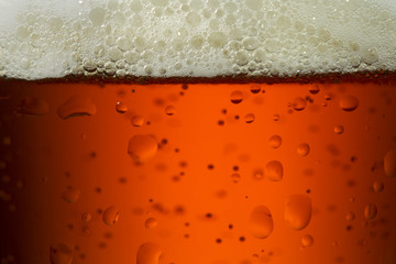 beer bubbles and froth