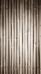 Bamboo background