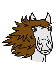 face head beautiful horse pony stallion riding white comic cartoon