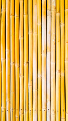 Bamboo background