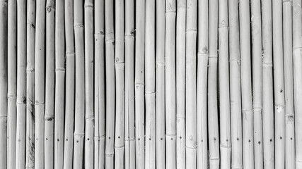 Bamboo background