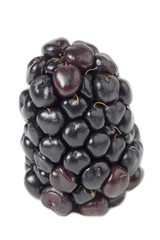 one blackberry fruit.