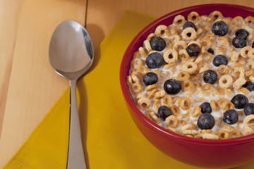 blueberry cereal with spoon