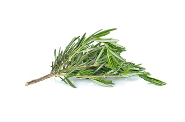 rosemary isolated on white background