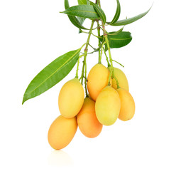 A Closeup sweet Marian plum thai fruit isolated on white backgro