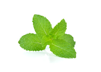 Fresh raw mint leaves isolated on white background