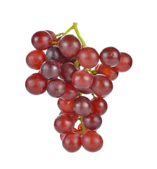 Fototapeta premium grapes isolated on over white background