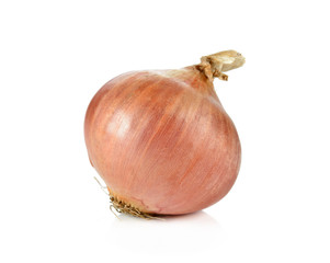 Ripe onion on a white background