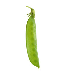 Snow peas isolated on white background