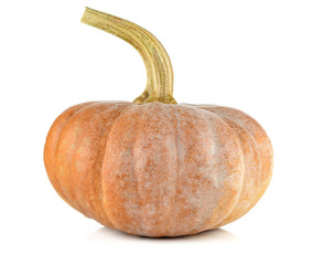Pumpkin on white background