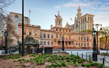 Naklejka premium New York City Hall, USA
