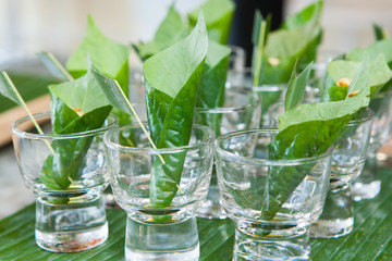 Mini Canape set for wedding party.