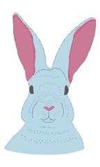 rabbit_1