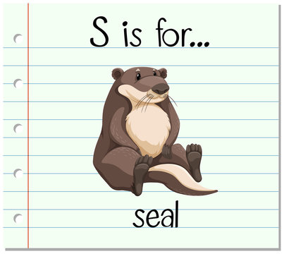 Flashcard letter S is for seal