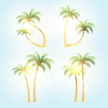 Set  realistic trees with patches of sunlight . Palm tree at sunset solntse.Tropical palm trees.