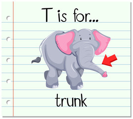 Obraz premium Flashcard letter T is for trunk