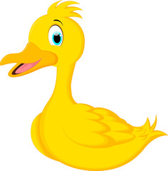 Cute duck cartoon