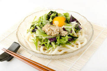 冷やしぶっかけうどん