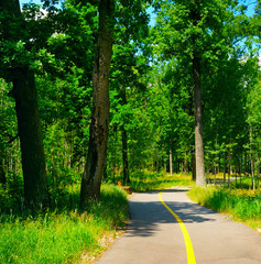 Obraz premium park, green meadow and blue sky