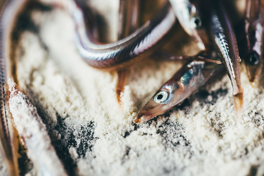 Chef Preparing Delicious Sand Eels