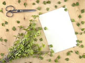 Nature wood background