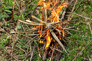 The fire which ignited in the forest.