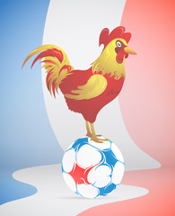 Football with France symbol red Rooster
