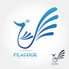Peacock logo design template