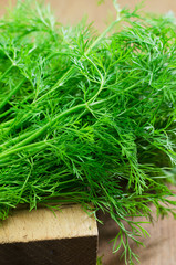 Parsley