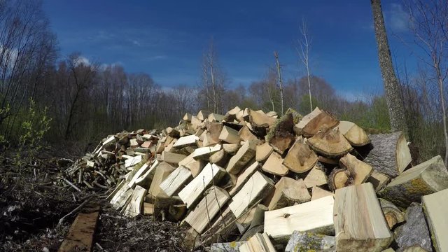 Sun on big heap of cut firewood by the forest in early spring, time lapse 4K