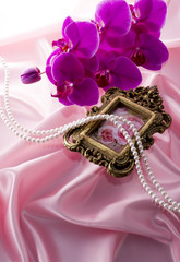 胡蝶蘭とフォトフレーム