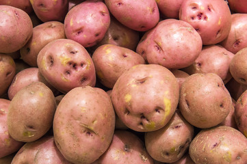 red potatoes from market shelves real with flaws and bruises