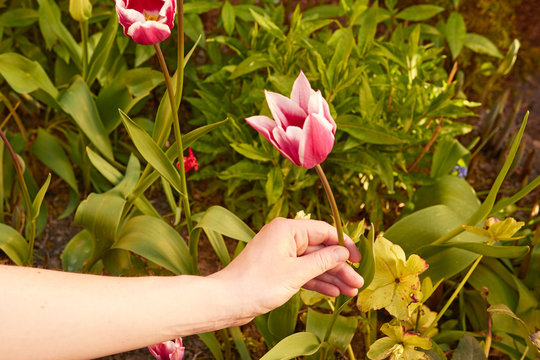 Talonner Images – Parcourir 106 le catalogue de photos, vecteurs et ...