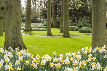Obraz premium Landscape in Keukenhof Park