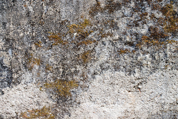 white concrete wall texture