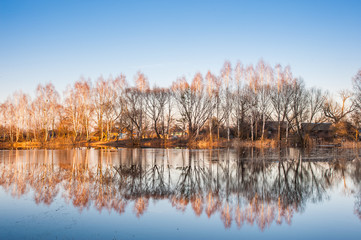 Trees Reflection in Water