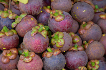 mangosteen in Thailand