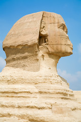 Fototapeta na wymiar profile face Sphinx in Egypt