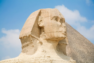 Fototapeta na wymiar Sphinx face in Egypt
